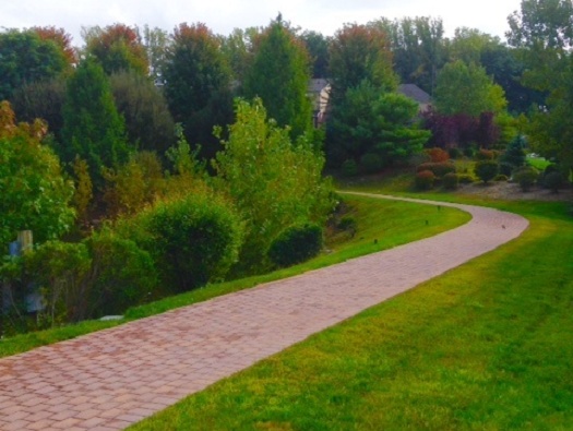 Paved Walking Path Paved Walking Path